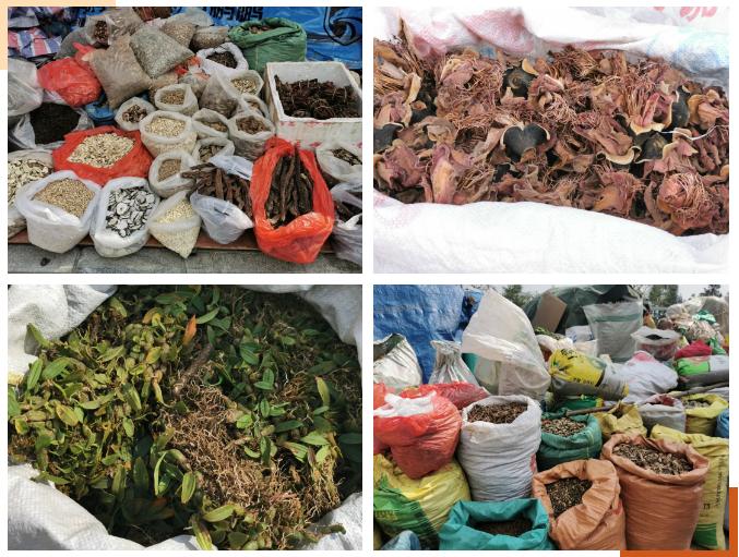 大理三月街药材,大理三月街药材市场