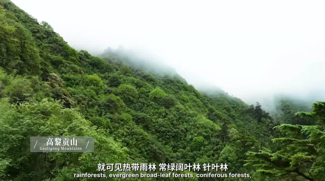 万千气象看云南|《什么是云南》，这就是云南！