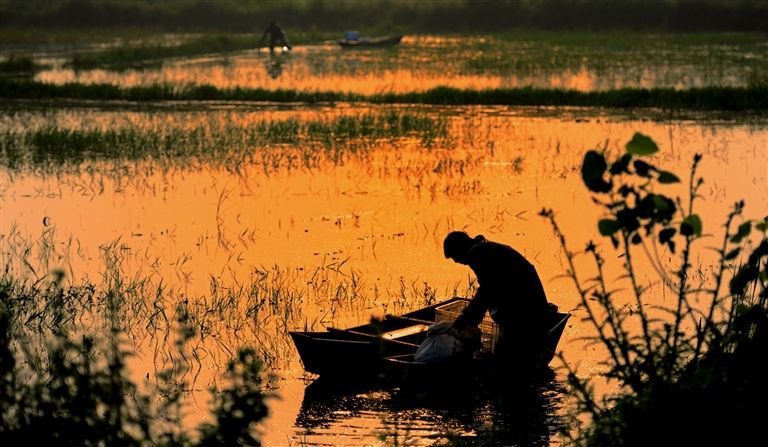 潜江虾香稻香米,潜江虾乡