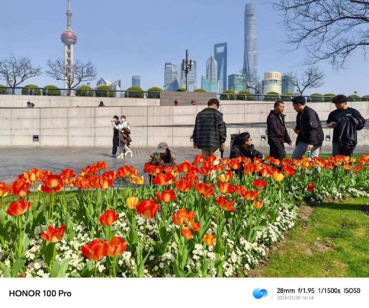 早上海头条㉞志愿者“老记”在周到平台连连发文收获大;梅花未谢,春花已浓;春天就要吃这些“鲜”味……