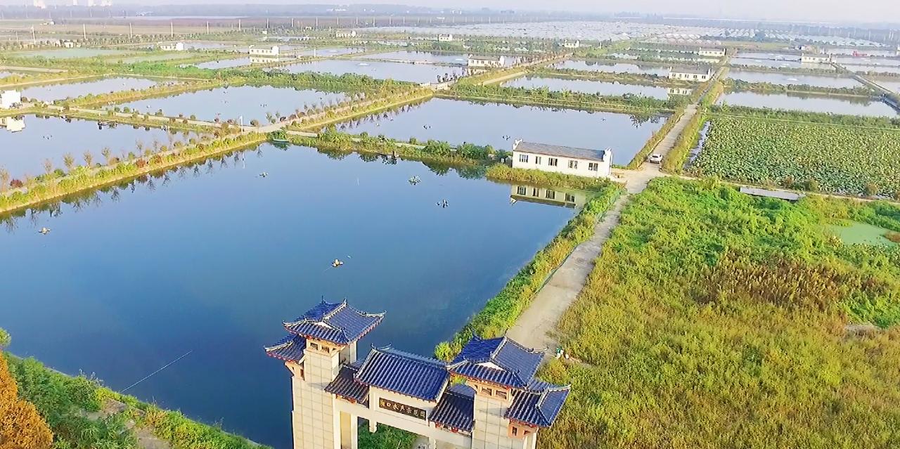 全国枫桥式工作法入选典型事迹,枫桥经验先进典型法院