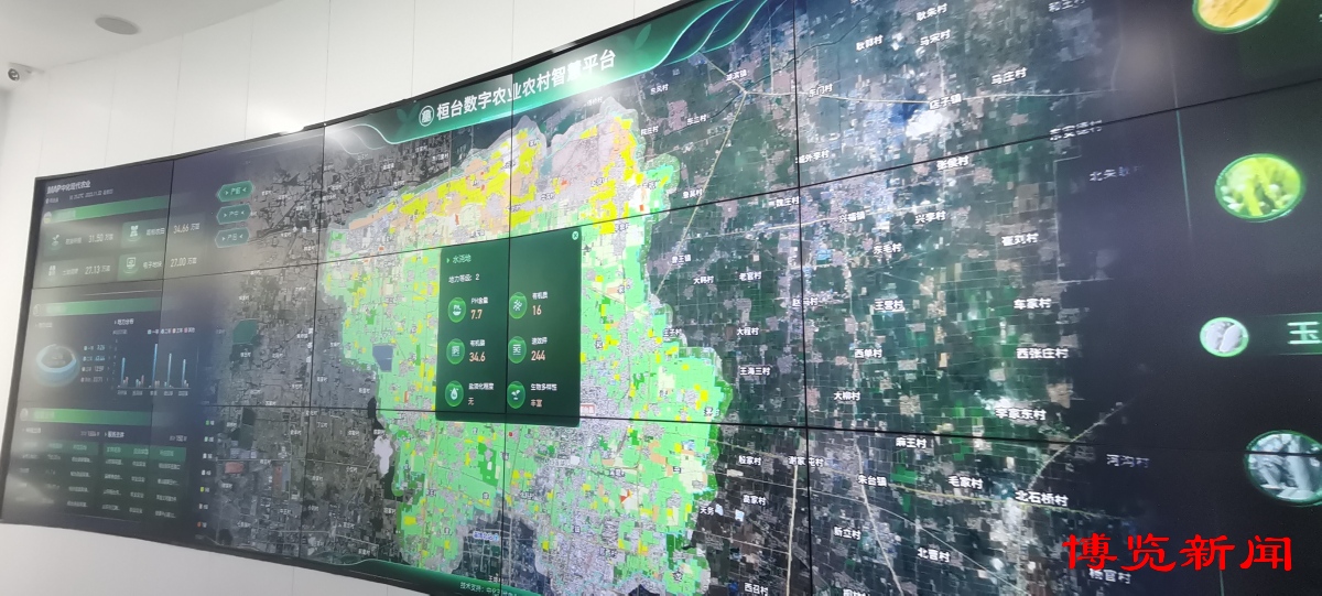 走进千强镇｜唐山镇演绎“膜法传奇”