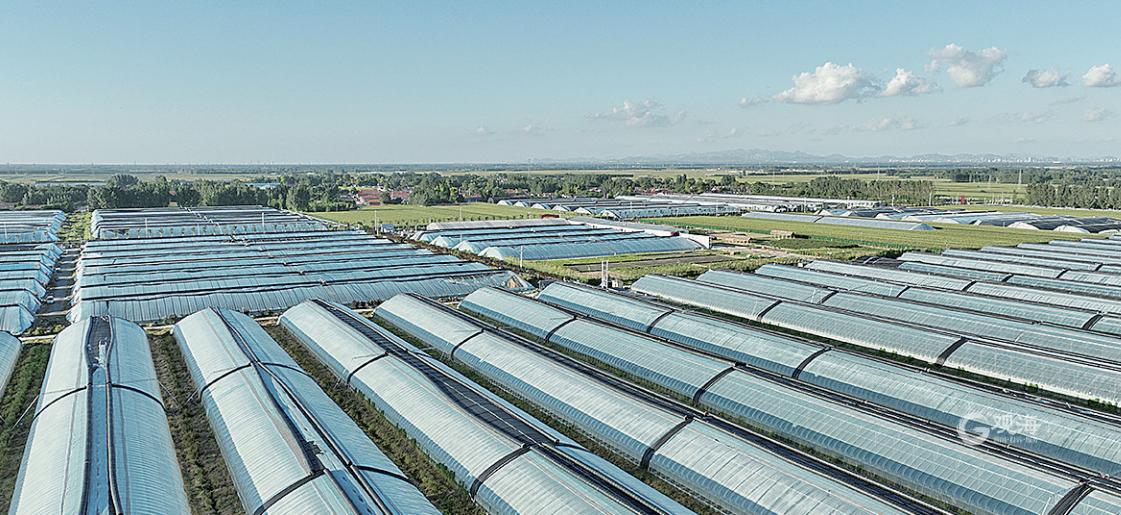 青岛西海岸新区乡村振兴齐鲁样板,乡村振兴齐鲁样板图