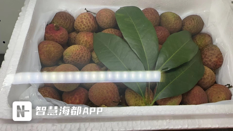 售价高达90元一斤依然供不应求,福州卖高达