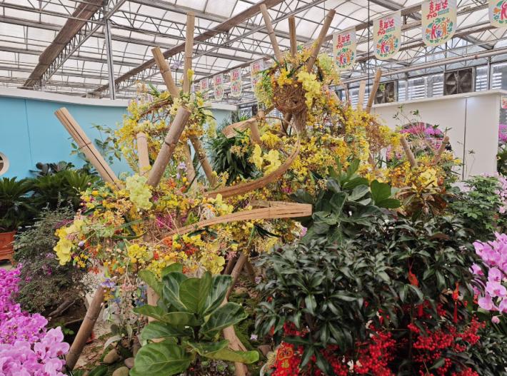 北京年宵花市场,去花卉市场逛年宵花