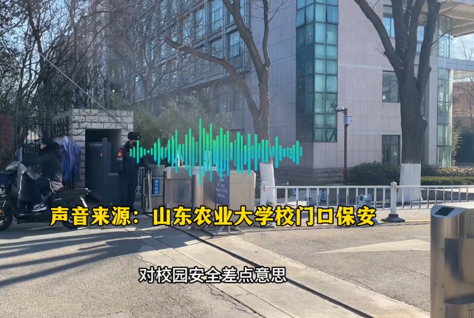 泰山学院,可以!其他,不行!*安泰**的大学开放了吗?记者实地探访