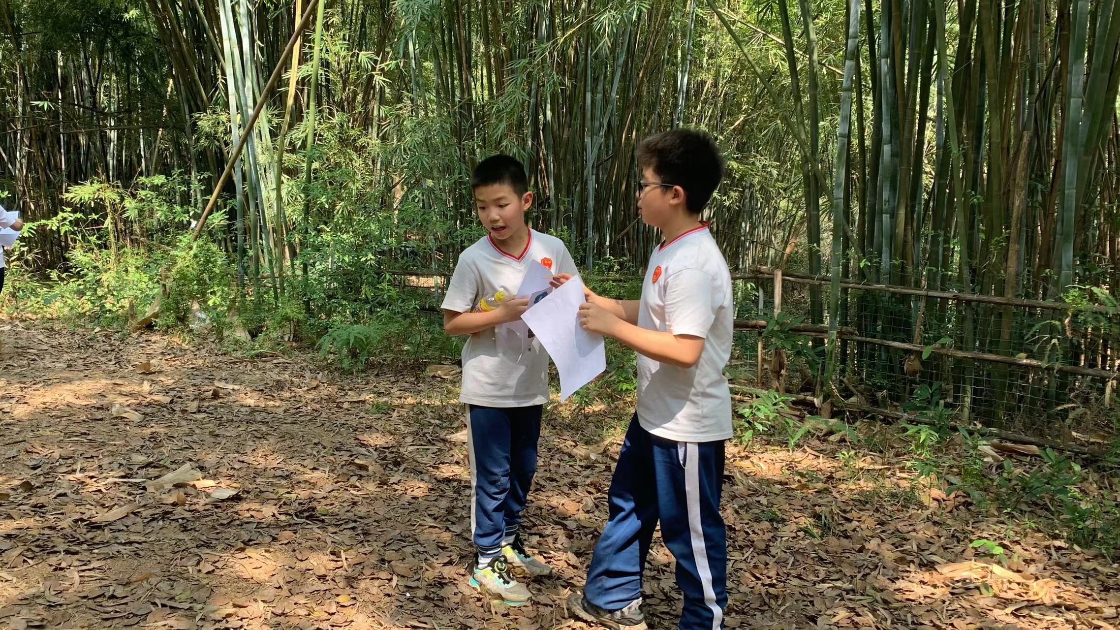 植树研学活动,植树节研学游活动