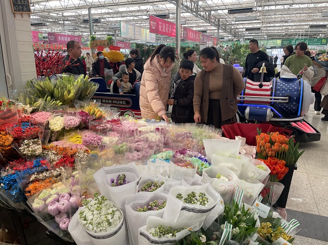 年味渐浓多地年宵花市迎销售高峰,年味渐浓春节临近年宵花热销