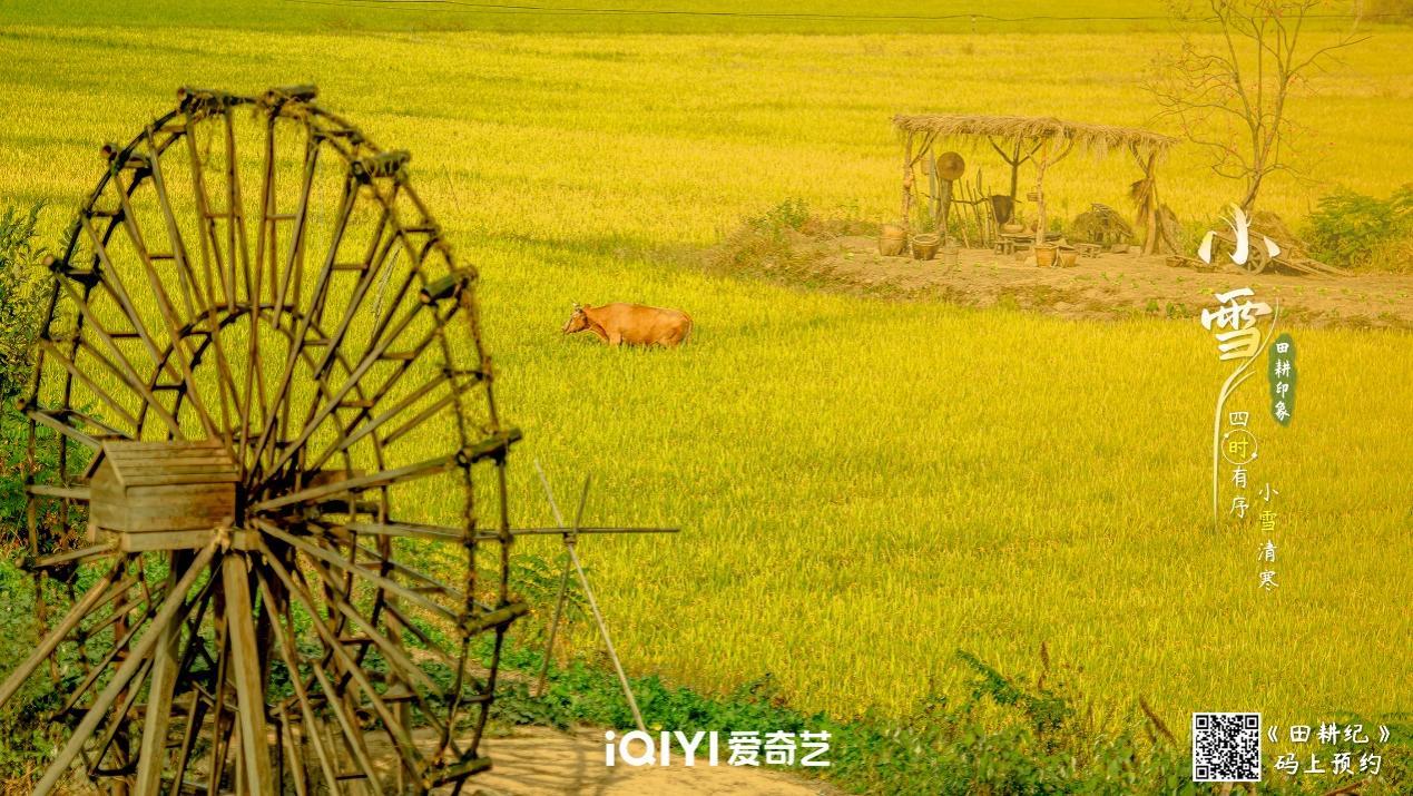 因为一部剧,让温州这个宝藏古村火出了圈!网友:太美了,好想打卡同款美照