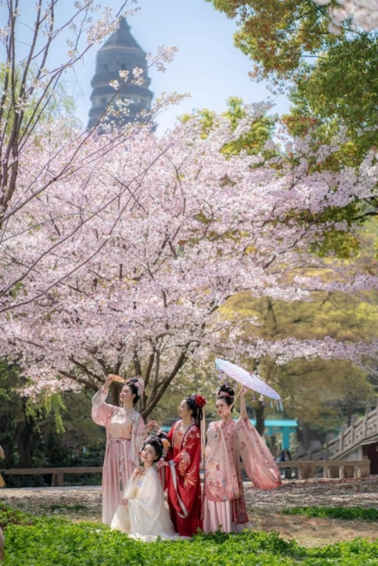 汉服花朝节上春山,上春山赏花海