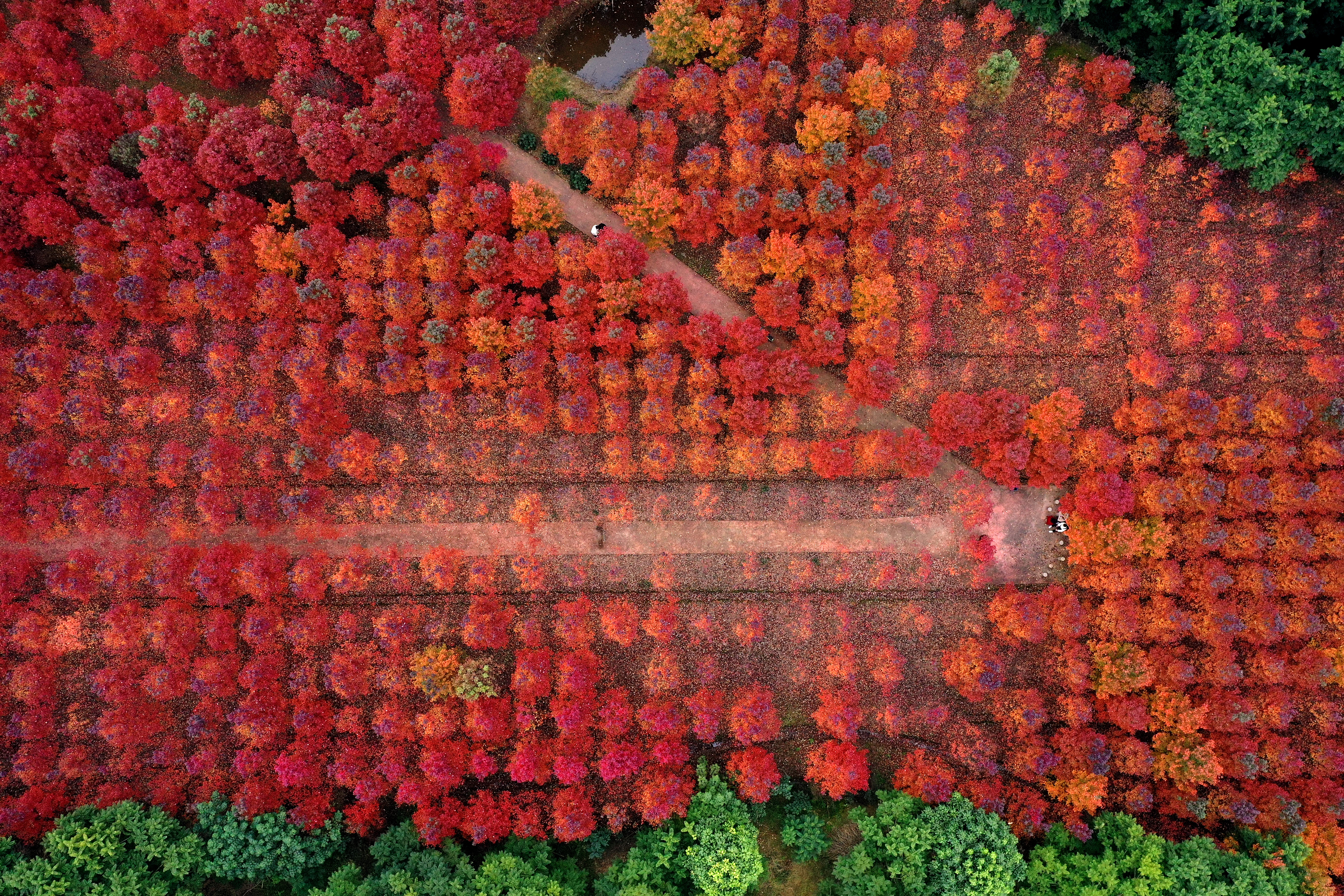 寒冷冬天美景如画,环境美景欣赏