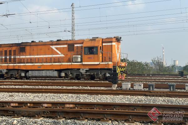 重庆巴南陆海之约,陆海之约相遇重庆