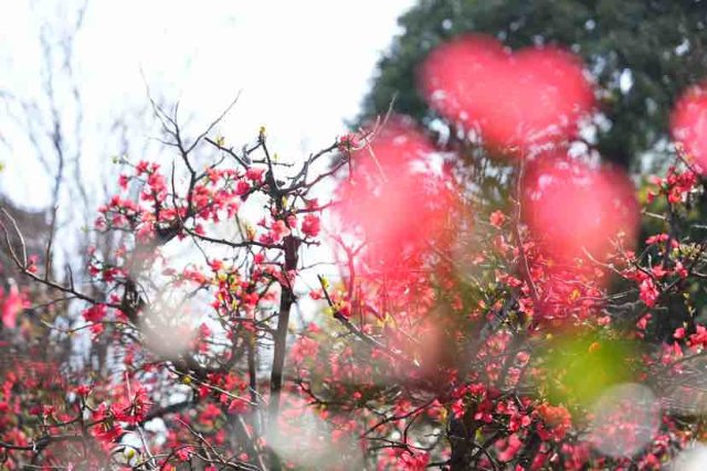 有一种云南的生活叫昆明,有一种云南生活叫西双版纳