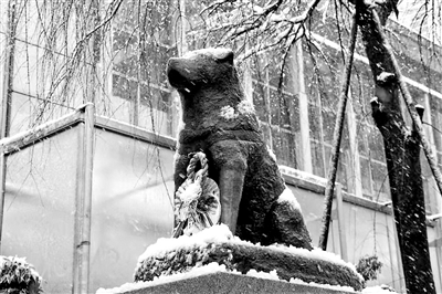 国家徽章摆放,美国徽章图解大全