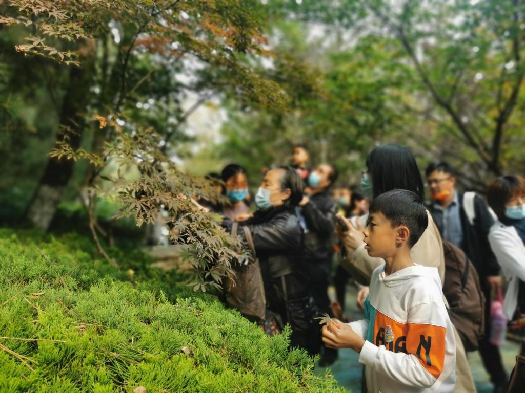 开启植物王国探究之旅！北岭山森林公园打造集教育科普、农耕体验、手工制作等于一体的综合教育基地