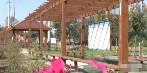 临颍县美丽乡村新样板,临颍县美丽乡村建设