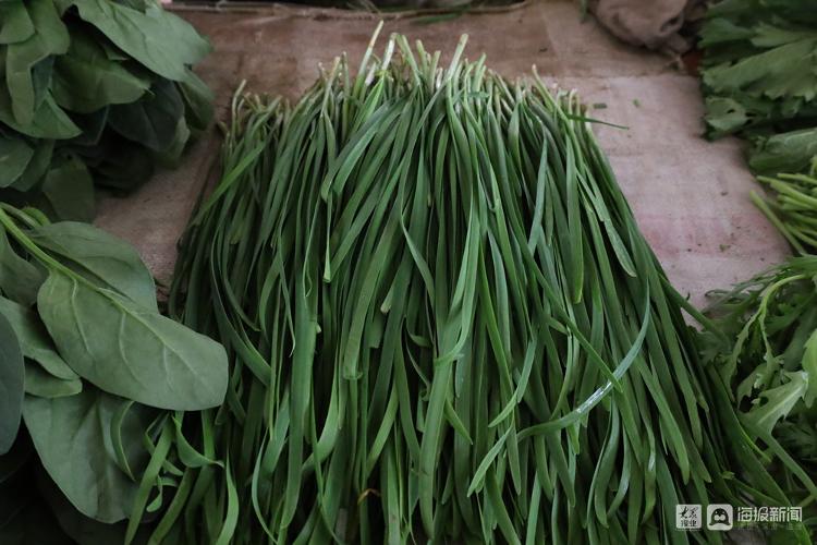 市民菜篮子有保障,市民菜篮子的视频