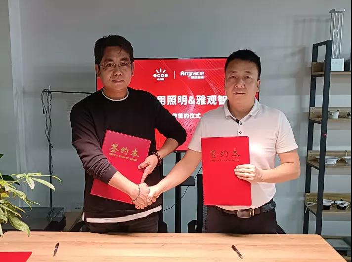 雅观智能照明,雅观照明