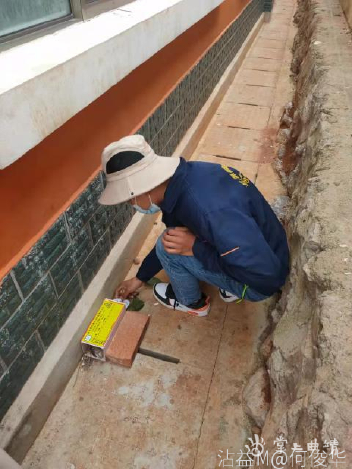 “除四害防疾病讲卫生”——炎方乡刘麦地小学开展校园病媒生物防制“灭四害”消杀活动