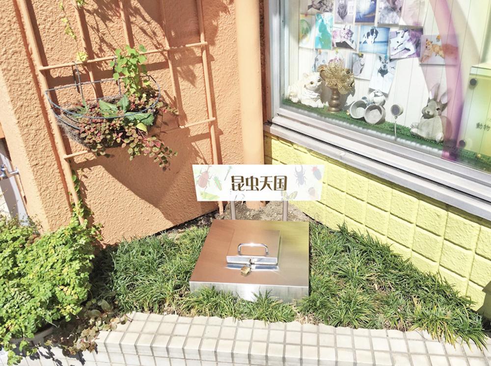 日本公司推出“昆虫殡葬服务”，你会为昆虫花钱举行葬礼吗？