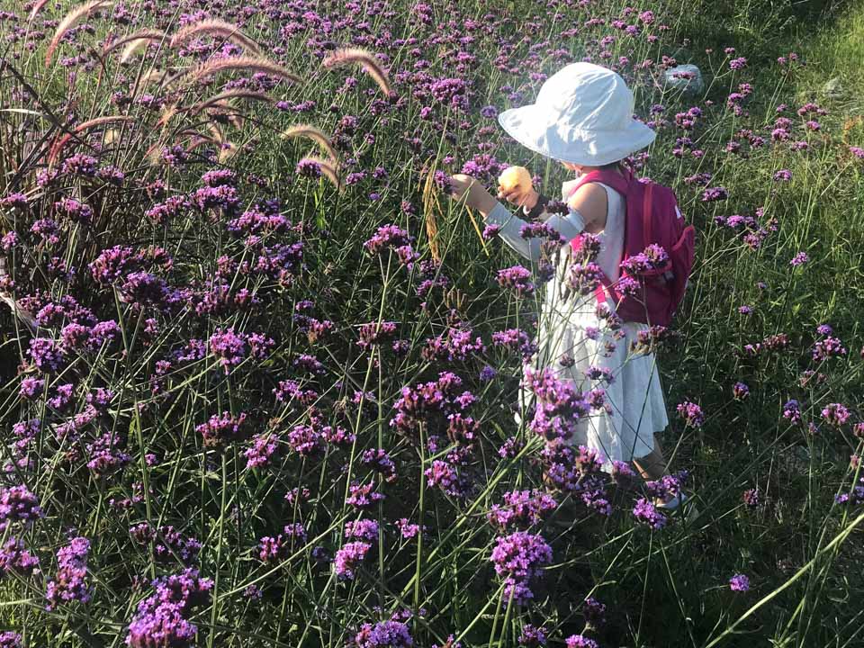 贵州7岁女孩遭37位家长驱逐,7岁女孩被家长联名驱逐
