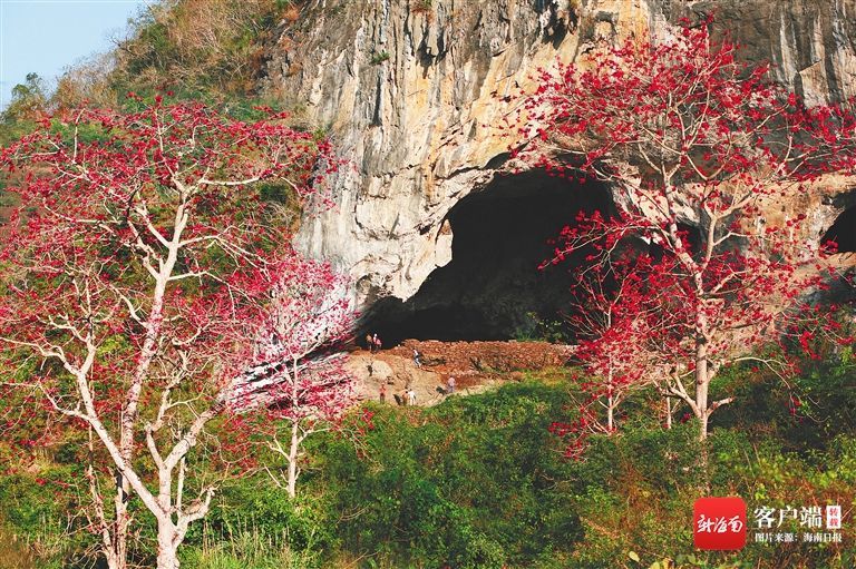 海南特色洞穴,海南海滩洞穴