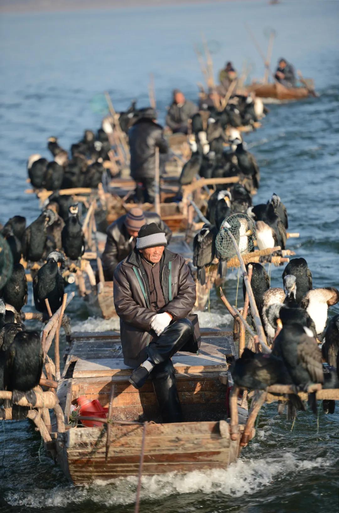 东拜孔子西上梁山,山东济宁曲阜拜孔子
