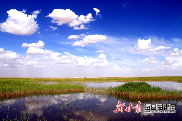 武威市人代会精神,武威党代会报告