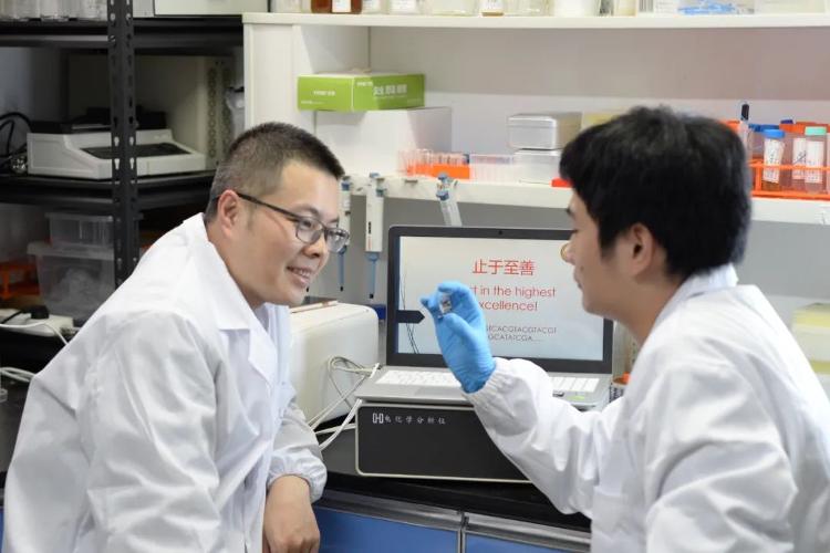 中国科学家把汉字存入DNA！DNA存储未来如何发展？