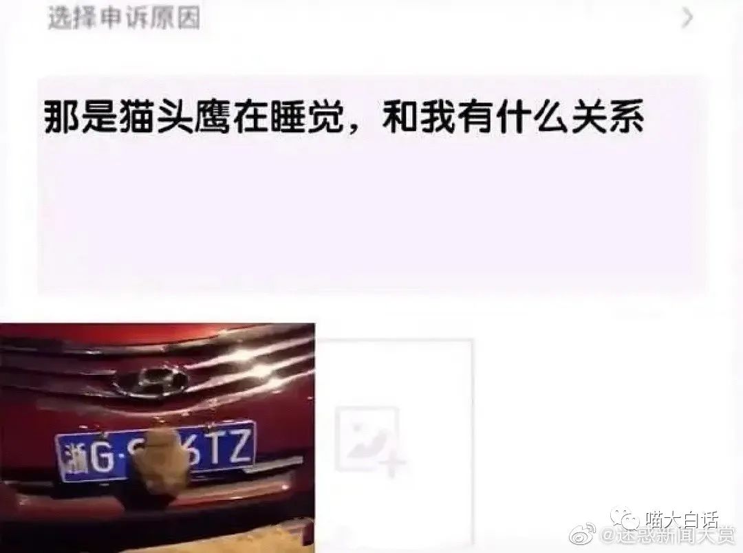 女生聊天回哈哈哈怎么回复高情商,高情商回复我想你了聊天技巧