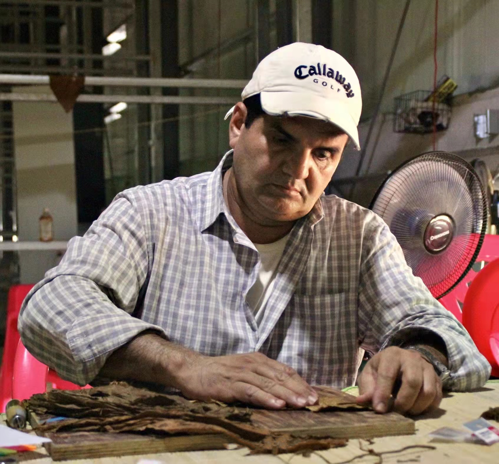 尼加拉瓜雪茄种植,中国雪茄种植