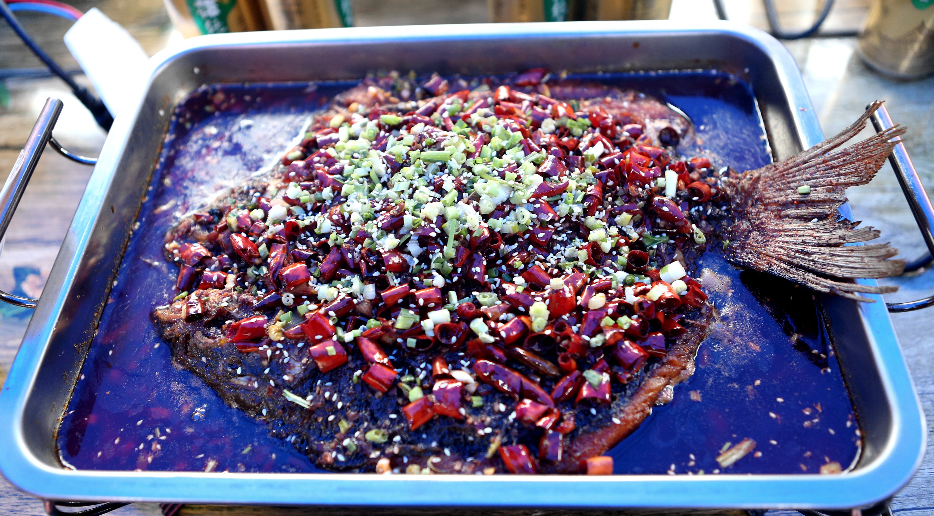 从远古走来完整版,巫山烤鱼来历和典故