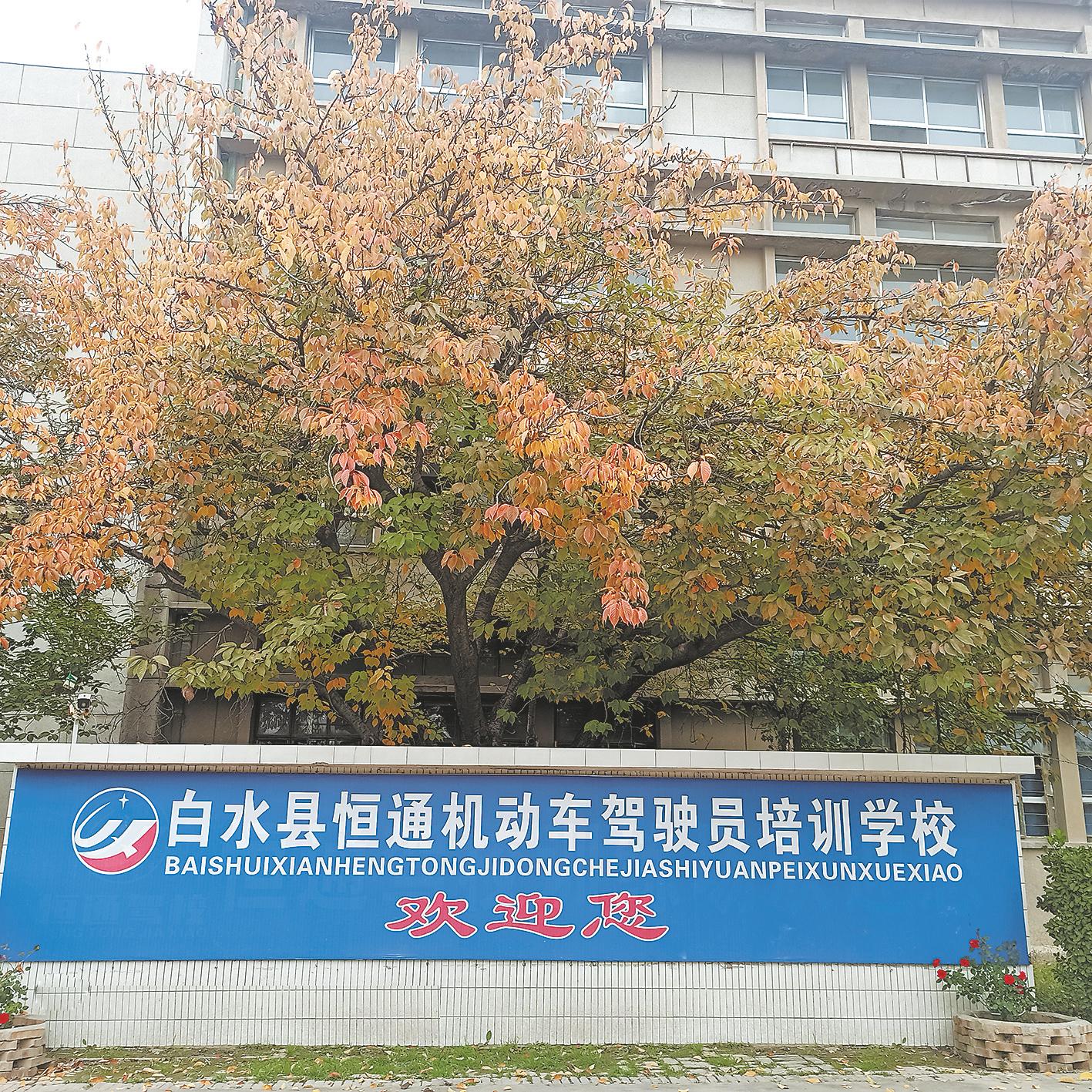 渭南市哪一家驾校通过率高,渭南市驾校推荐