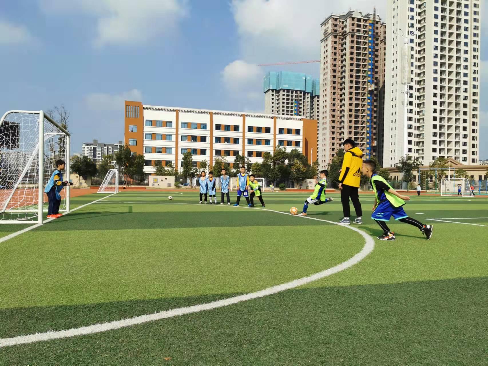 欧城小学的教育理念是什么,欧城小学教学视频