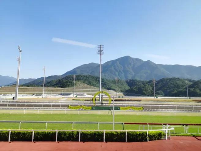 马术三项赛事件,马术事件