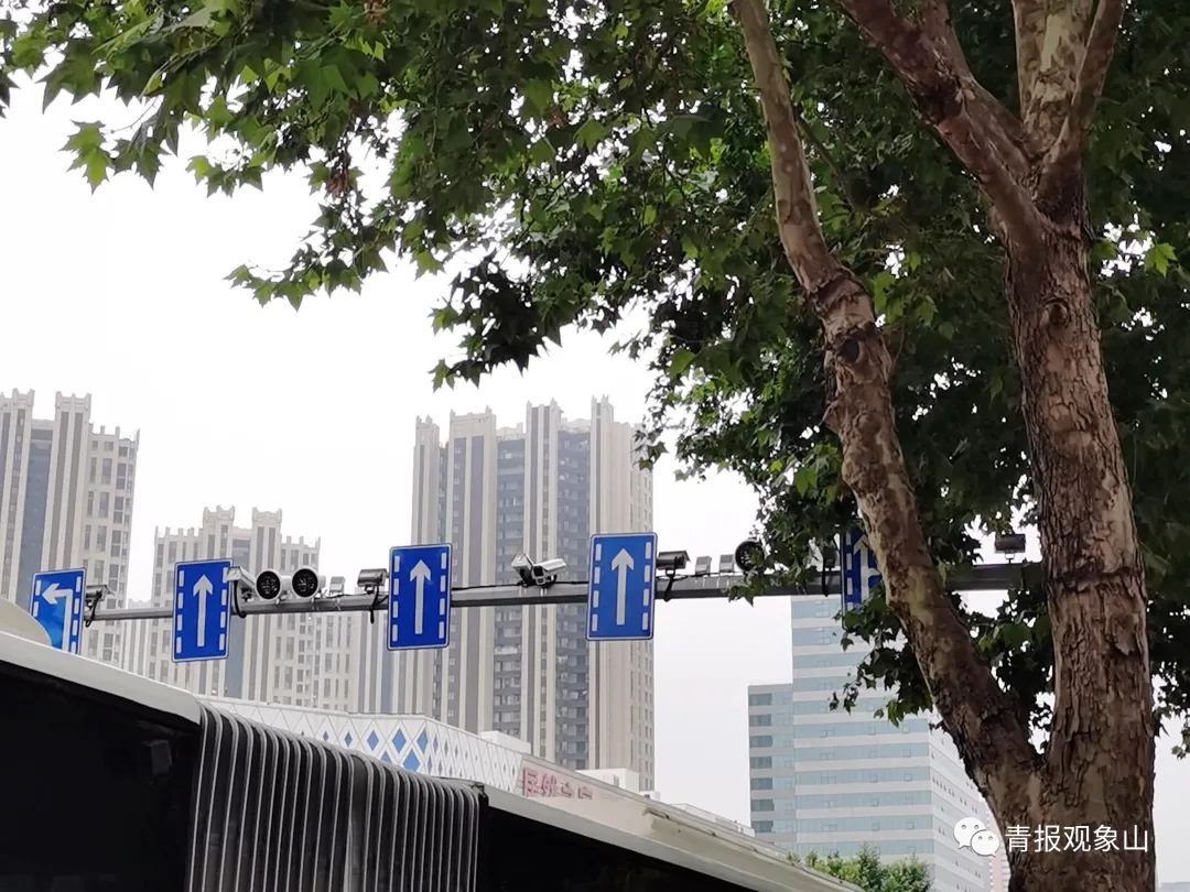 为什么青岛是最具幸福感的城市,青岛一座充满幸福城市