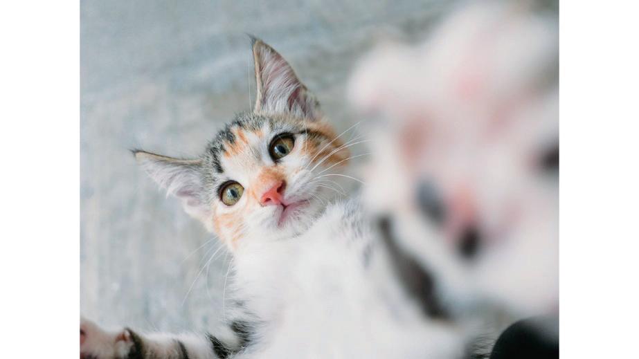 数学封面图设计,封面图怎么设计