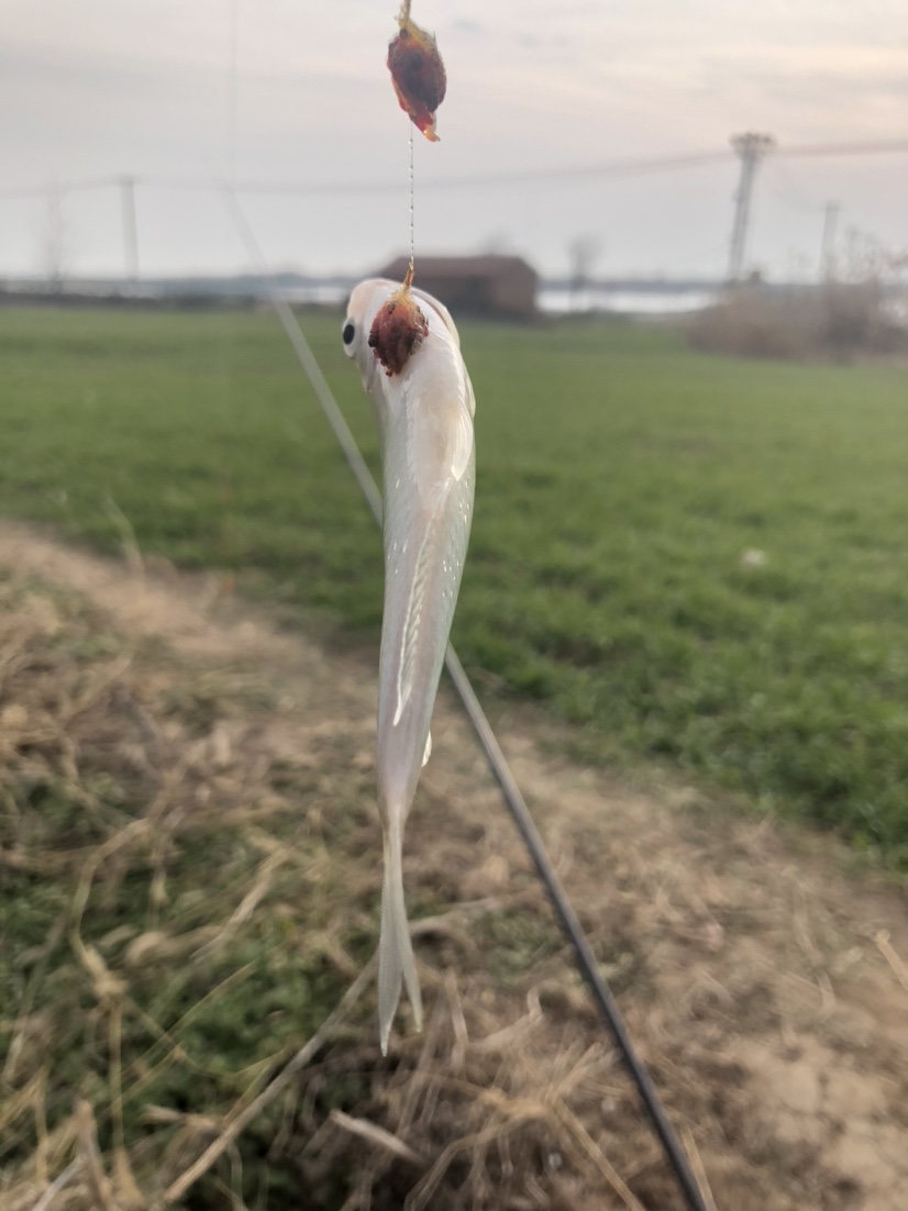冰钓沉浸式体验,第一次体验冰钓视频