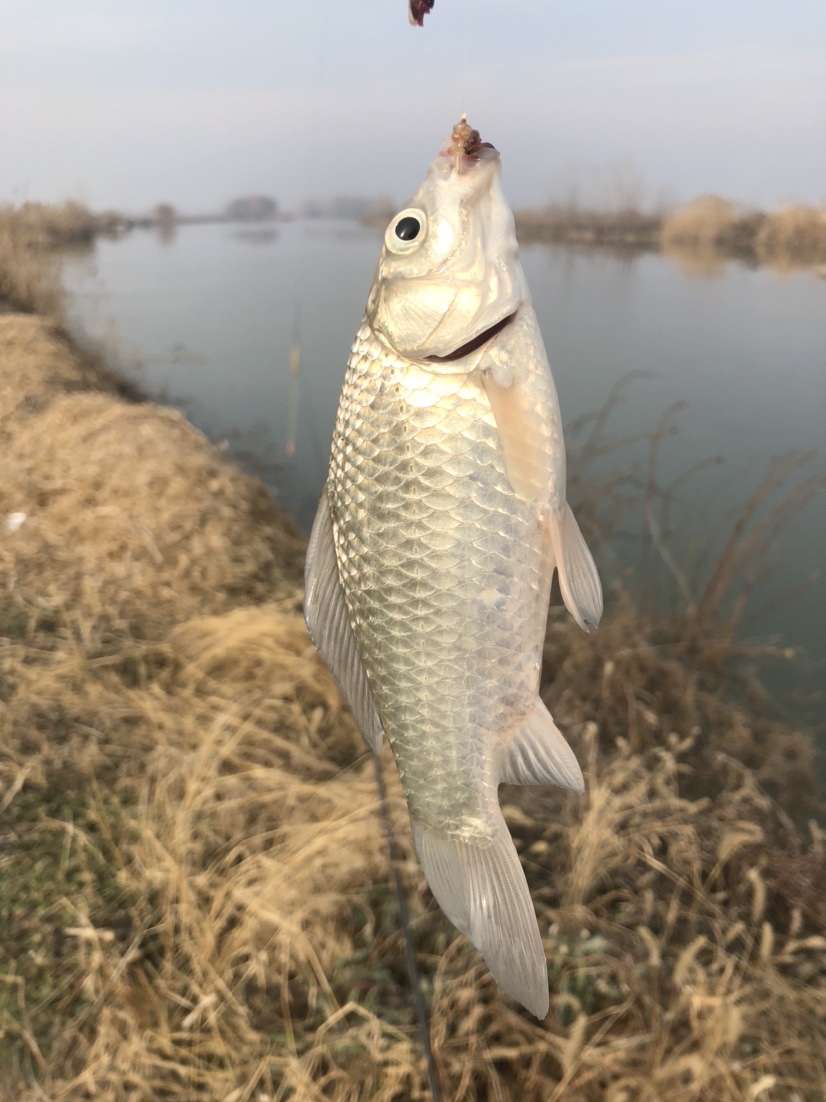 冰钓沉浸式体验,第一次体验冰钓视频