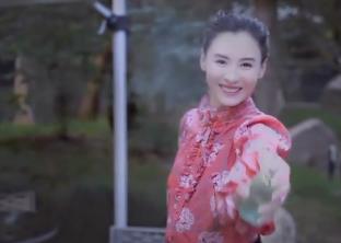 张柏芝手臂伤疤被曝照片,张柏芝被自家宠物狗咬伤视频