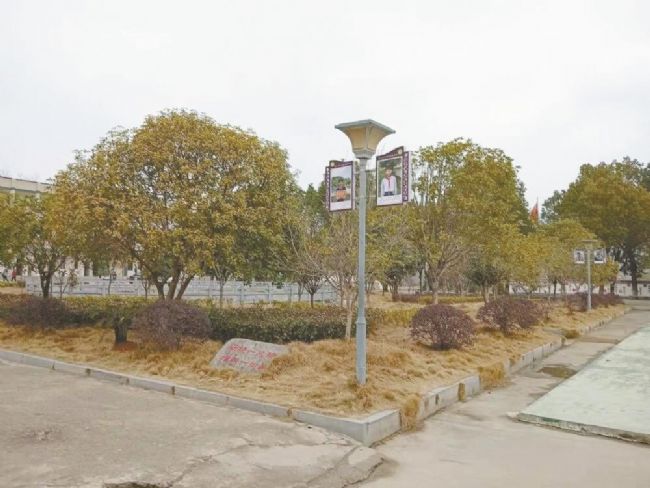 让每一位孩子闪闪发光,让每个学生都闪闪发光