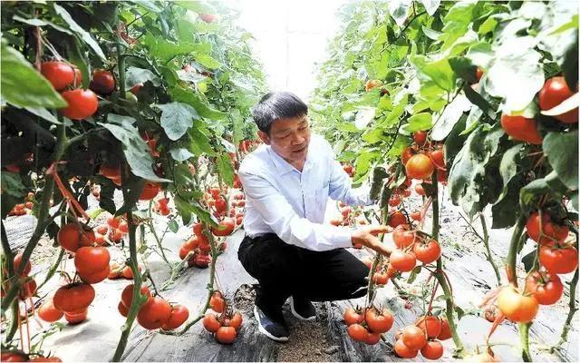 推动农业高质量发展力促农民增收,财政金融如何助推农业高质量发展