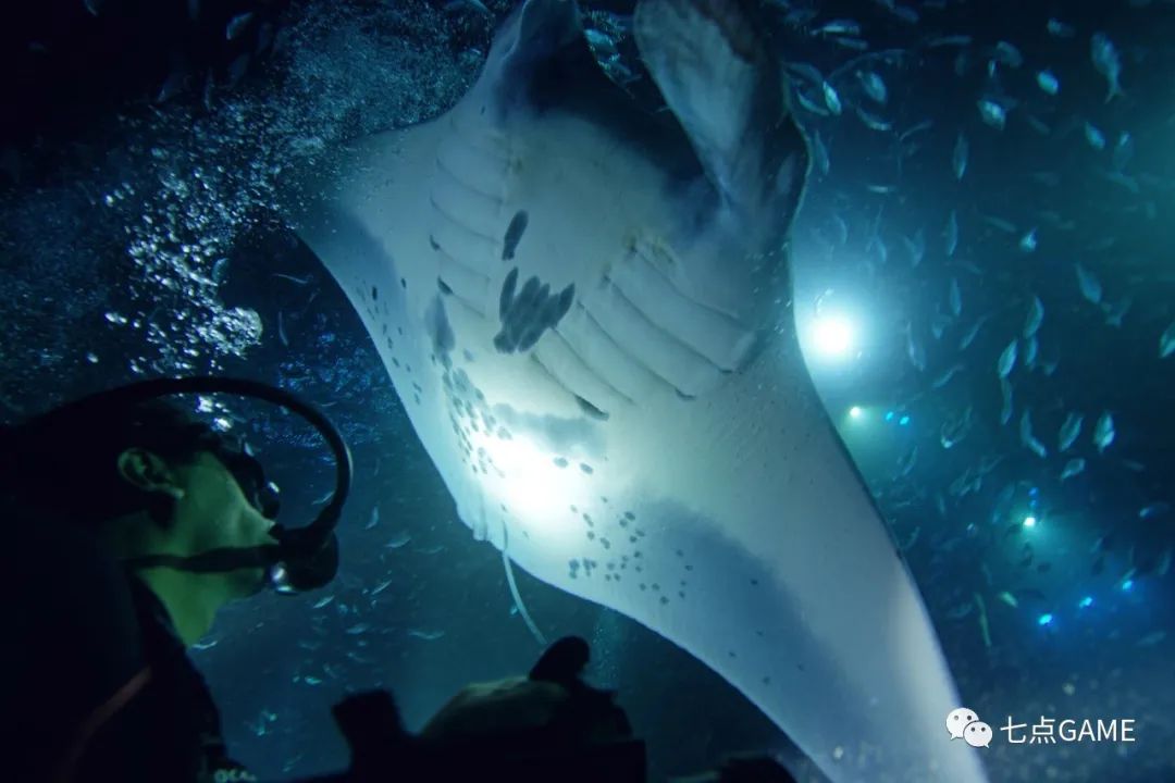 阿凡达2裸眼3d真的假的,阿凡达2是裸眼3d吗什么时候上映