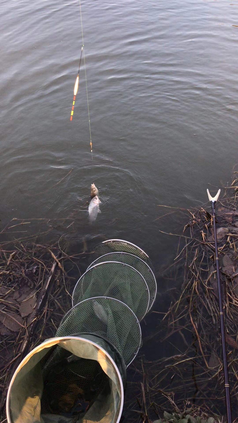 2021打龟爆护同在，未来渔你同行