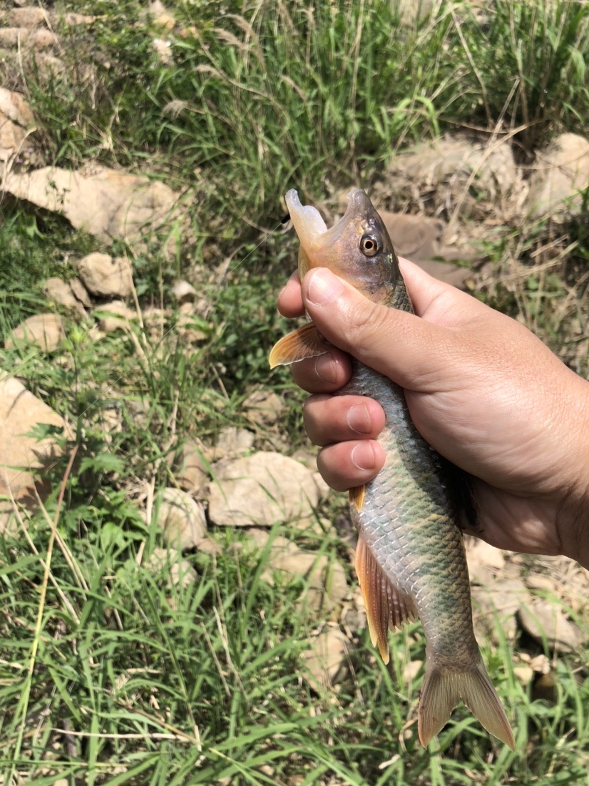 2021打龟爆护同在，未来渔你同行