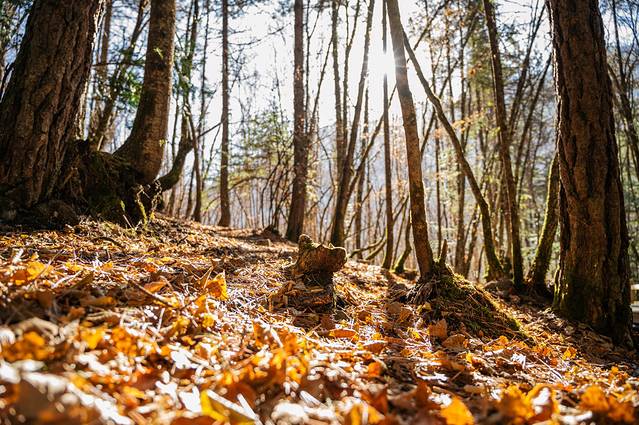 冬日九寨童话世界,九寨沟翠海蓝冰