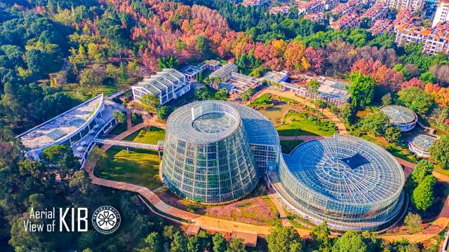 昆明打卡必去的地方,昆明美食拍照打卡地