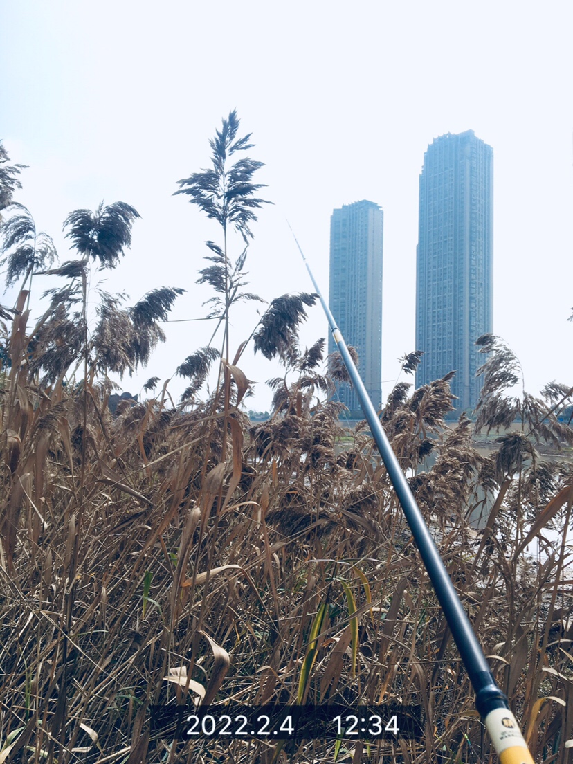 用老婆的菜篮子装新年的第一“金”