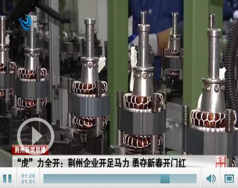 虎力全开虎虎生风,荆州开门红