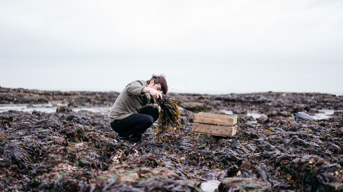 雅诗兰黛收购哪些中国品牌,雅诗兰黛再回首护肤品